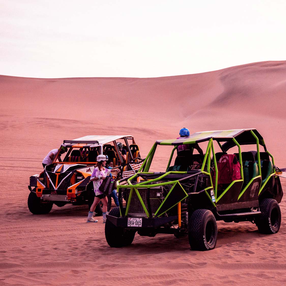 PARACAS BALLESTAS ISLAND, HUACACHINA SANDBOARDING & DUNE BUGGY 1 DAY TOUR