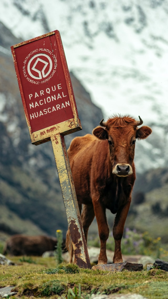 National park huascaran - Sam Corporations