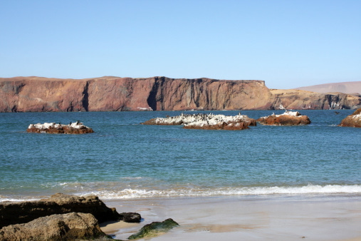 Ballestas Islands Paracas - Tour a las lineas de Nazca y Sandboarding