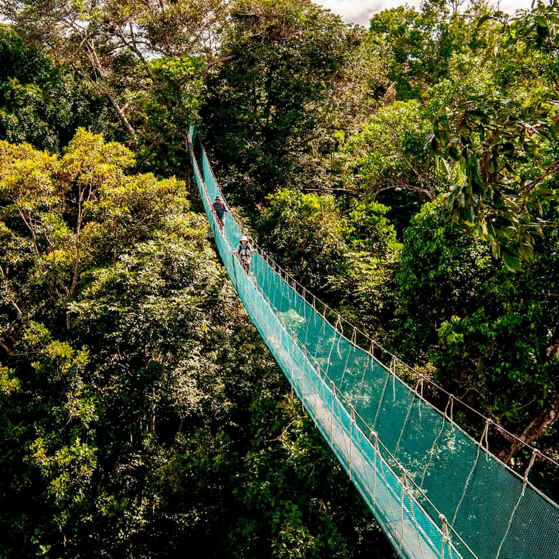 BEST JUNGLE TOUR IN IQUITOS 3 DAYS