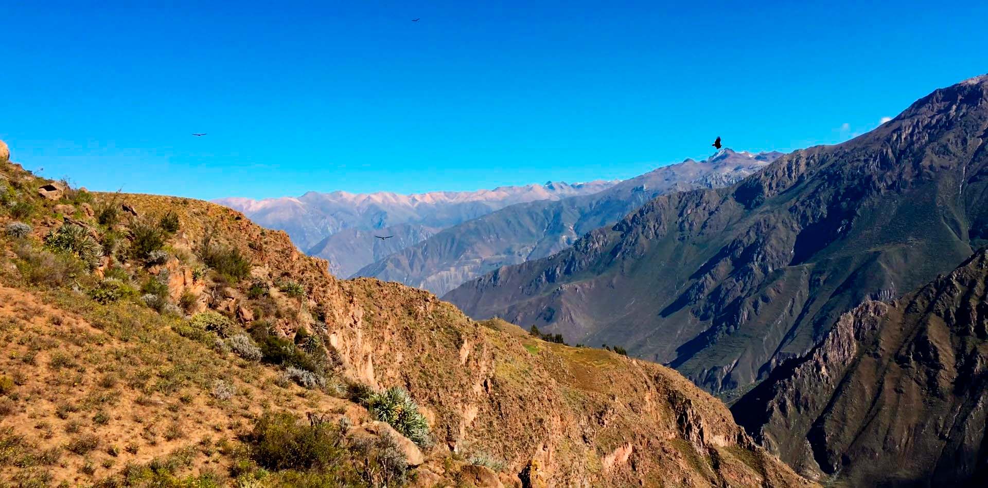 COLCA CANYON TOUR 2 DAYS