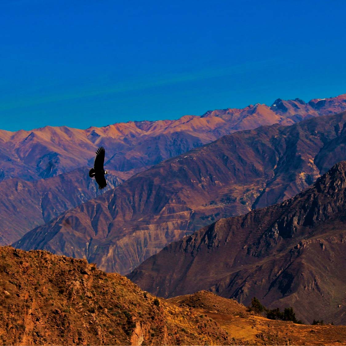 COLCA CANYON TOUR FROM PUNO TO AREQUIPA 2 DAYS