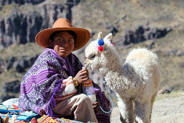 Colca Canyon Tours with SAM Corporations Peru