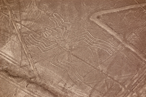 spider nazca lines