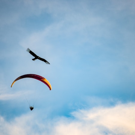 costa verde Tandem Flights