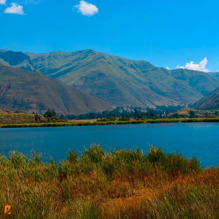 Birding in Machu Picchu, Abra Malaga and Huacarpay Lake 4 Days and 3 Nights