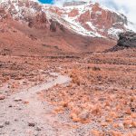Inca Trail Trek Availability - Sam Corporations